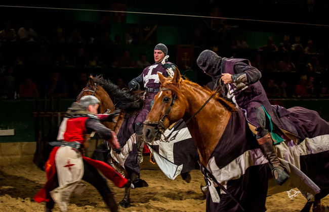 Cena con espectáculo en Magic Robin Hood - Foto 7