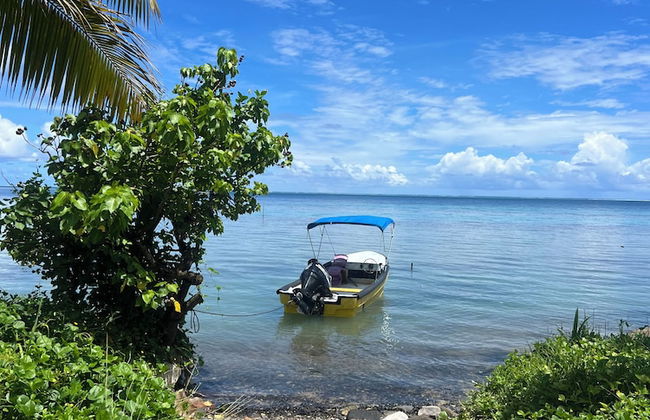 Fare Chez Franck - Photo 33