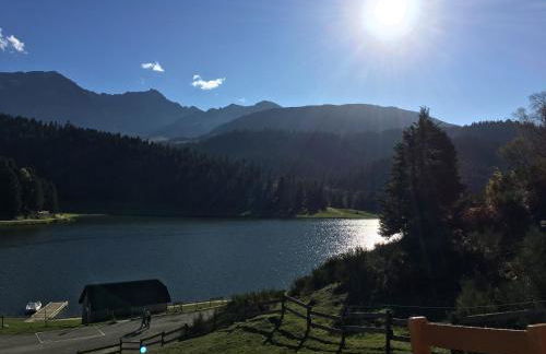 Gite Du Montagnol A Payolle - Foto 15