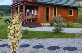 DOMKI KOLOROWE - Foto 5