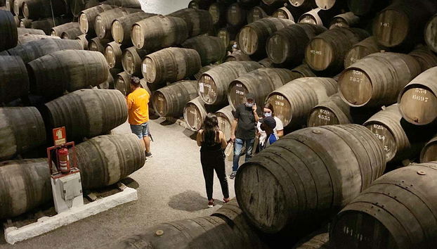 Tour enologico + Visita a una cantina - Foto 4