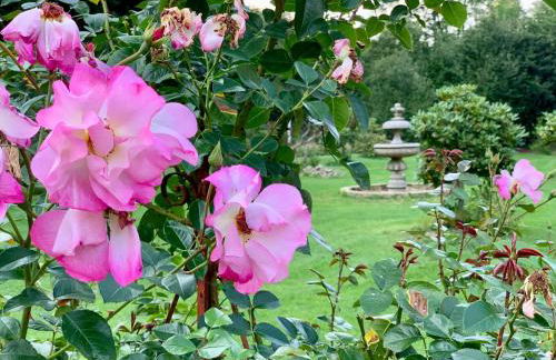 Rosengarten - Foto 38