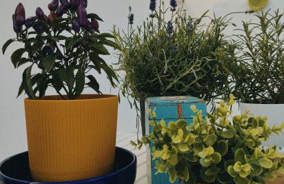 Casa De Amicis - Foto 34