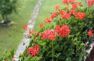 Casa Giovannella - Foto 44