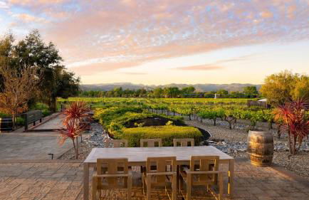 Chic Sonoma Oasis w Pool Bocce Hot Tub Minutes to Downtown - Foto 5