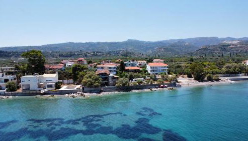 APIJA Studio - Foto 2