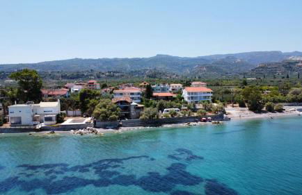 APIJA Studio - Foto 2