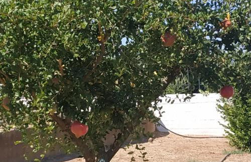 Kleoni's cottage - Foto 45