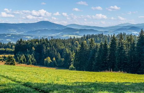 Beautiful Home In Myslenice With Wifi - Foto 24