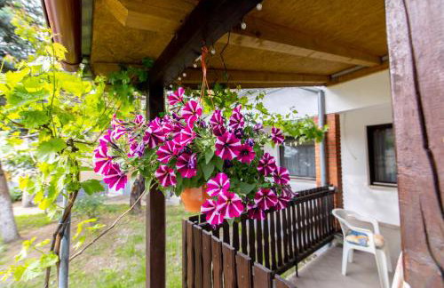 Apartman Marta i soba Maja - Foto 22