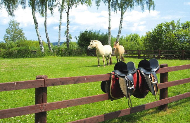 Seepark Heidenholz, Plau am See - Foto 36