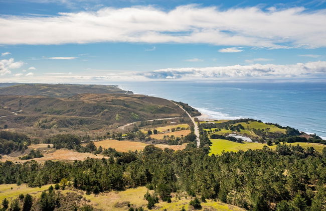Pacific Coast Redwoods Cabin for Family - Foto 74