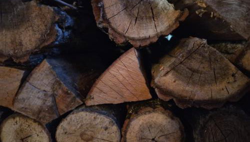 Kuća za odmor Josipa - Foto 2