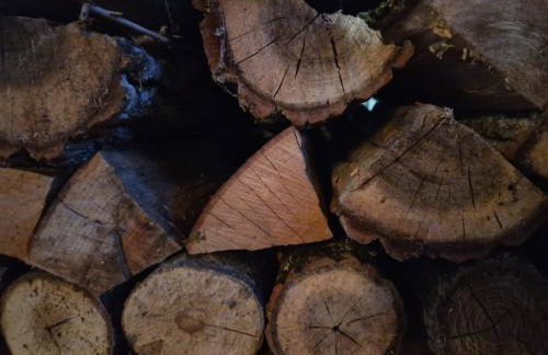 Kuća za odmor Josipa - Foto 2