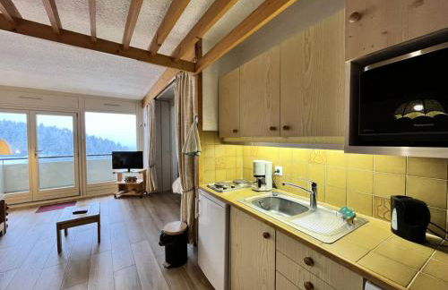 Résidence Les Glovettes - GRAND STUDIO TOUT CONFORT AUX PIEDS DES PISTES MAE-2234 - Foto 7