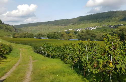 Ferienwohnung Weingeist - Foto 21