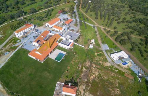 Herdade Terra rica - Photo 27
