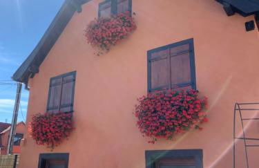 Petit Fronholz - Foto 7