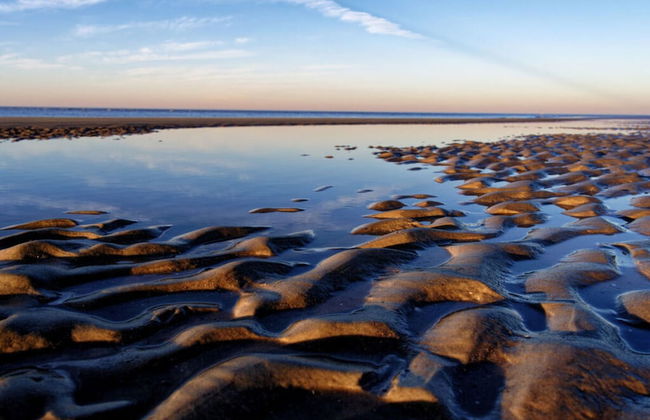 Beach House Langeoog - Foto 27