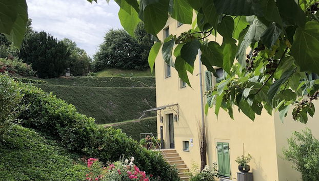 Entrada (vista interior)