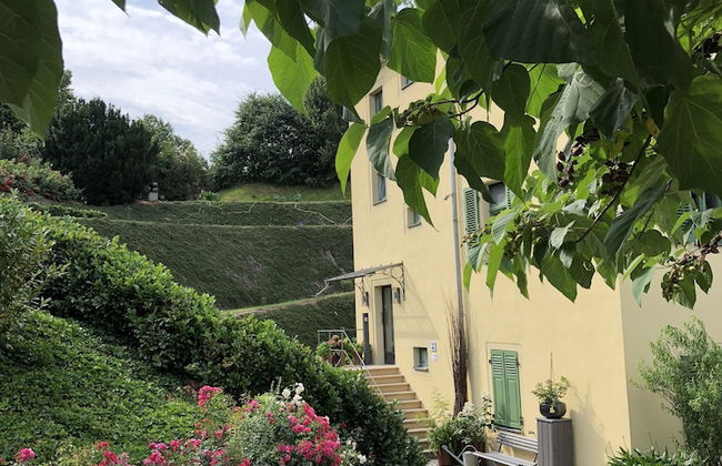 Rebenhaus Meißen - Foto 2