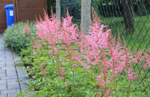 Ferienhaus Däschinger Das Zweiradparadies - Foto 44