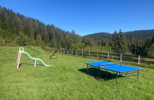 Le Perchoir, Gîte 7 personnes, Le Grand Valtin - Foto 32