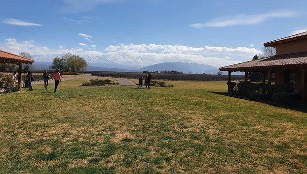Tour por la zona vitivinícola del Camino del Vino El Sol - Foto 4, Podréis visitar varias bodegas a los pies de los Andes