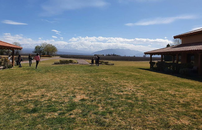 Tour por la zona vitivinícola del Camino del Vino El Sol - Foto 4