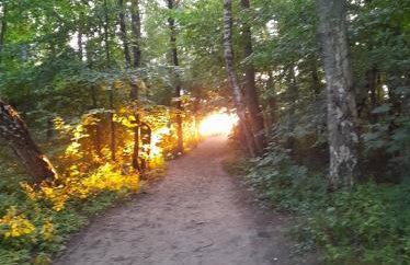 Błękitna Laguna 600m od morza - Foto 34