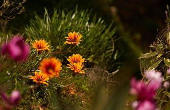 Quinta do Marmeleiro - Casa Marmeleiro - Foto 30