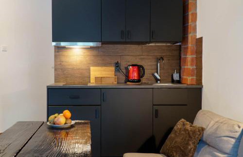 Novosiele Lifestyle Apartments - nad górską rzeką - Strefa relaksu sauna jacuzzi - Bieszczady - Foto 19