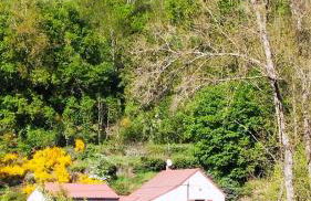 Chez Nicole et Patrick - Foto 1