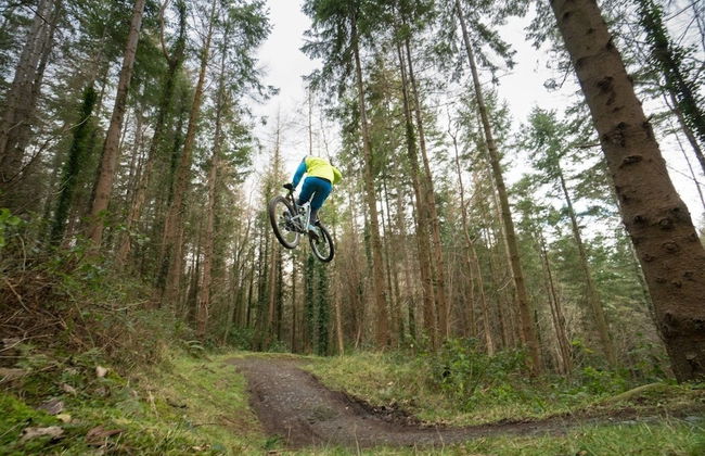 Ballyginny Cottage - Foto 10