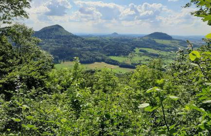Ferienwohnung Bauchert - Photo 20