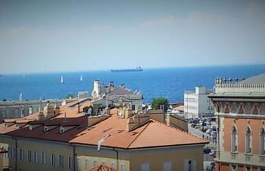 Le Petit Phare - Foto 5