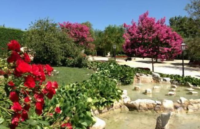 Otium Country House - Foto 34