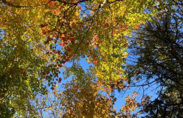 High Meadows Estate - Foto 73