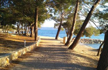 Apartments Barbara - Photo 7