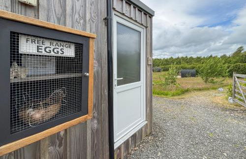 The Hedgehog Pod - Uk50067 - Photo 12