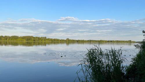 Gold Pearl Zegrze - Foto 4