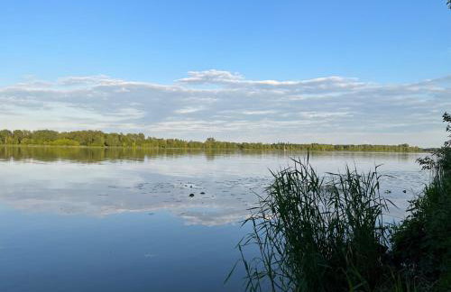 Gold Pearl Zegrze - Foto 4