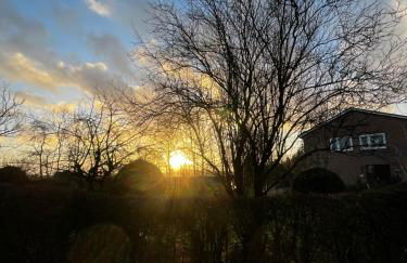 Ferienwohnung Sort Sol Grellsbülldeich 7 - Foto 39