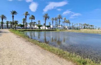 Can Carles - Delta del Ebro - Foto 67