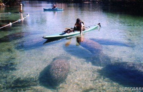 Cozy Home In Beverly Hills near Crystal River - Foto 20