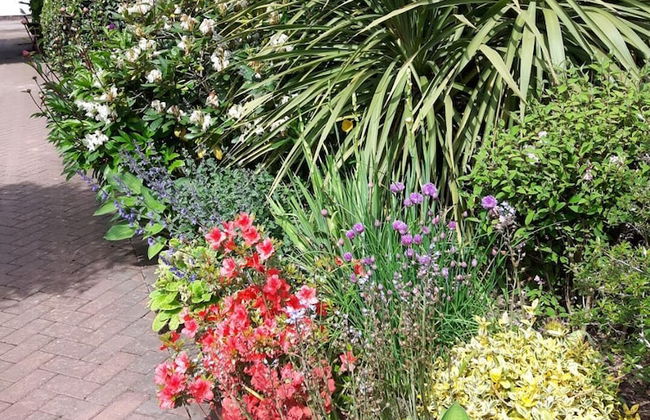 Cabin set in a Beautiful Romantic Tropical Garden - Foto 18