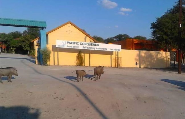 Pacific Conqueror Self Catering Units - Foto 32