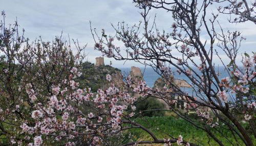 Piccola Baia - Foto 5