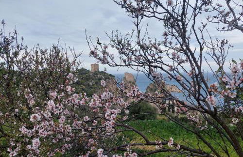 Piccola Baia - Foto 5