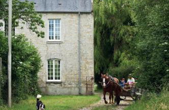 Chambre des moutons - Foto 11